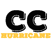 Hurricane Cc Sticker by Chiltern Cheetahs
