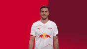 Football Celebration GIF by RB Leipzig