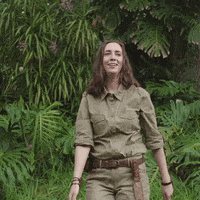 KauflandBulgaria kaufland кауфланд лято kaufland bulgaria GIF