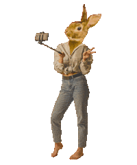 campfimfo peace bunny selfie iphone Sticker