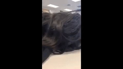 johnforest3985 giphygifmaker GIF