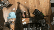 Animation Video GIF by Alex Boya