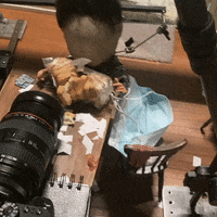 Lab Onf GIF by Alex Boya