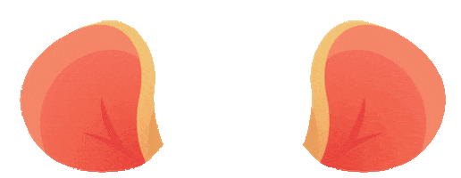 Chinese New Year Vicinity Sticker by VicinityCentres