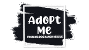 Rescue Dog Adopt Me Sticker by Big Dog Ranch Rescue