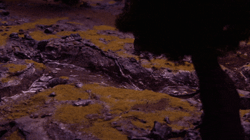 none_D stopmotion GIF