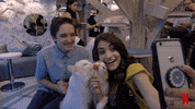 full house cats GIF by NETFLIX