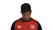 Look Up Bayer Leverkusen Sticker by Bundesliga