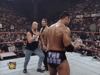 wrestling GIF by WWE
