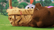 Easter Bunnies GIF by Angry Birds