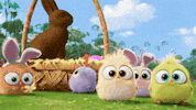 Easter Bunnies GIF by Angry Birds