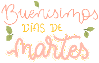 Fitness Rosa Sticker