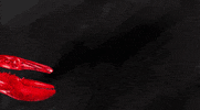 sonicseagirls music cool festival guitar GIF