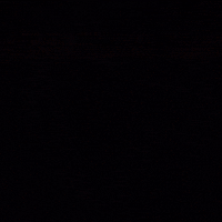 Best Friend Friends GIF