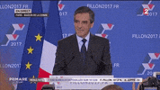 mimique GIF by franceinfo
