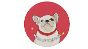 china dogs Sticker by Calzedonia
