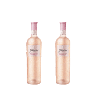 Chin Chin Wine Sticker by Freixenet