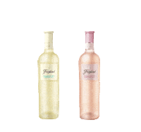 Chin Chin Wine Sticker by Freixenet
