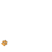 Paws Sticker by TrittElementaryPTA