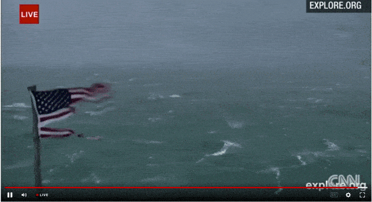 Storm GIF