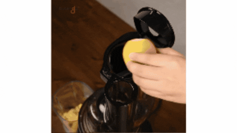 Kuvings giphygifmaker lemon juice kuvings GIF