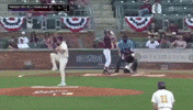 Thatguygoose GIF