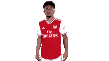 arsenal football soccer celebrate goal Sticker