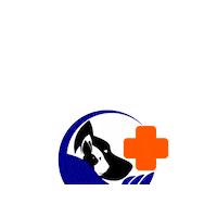 mascodoc gatos perros mascotas mascodoc Sticker