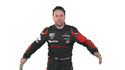 celebration no Sticker by FIA WTCR