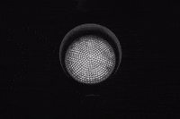 GIF by Ticora Davis, Esq.