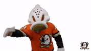 You Cant See Me John Cena GIF by Anaheim Ducks