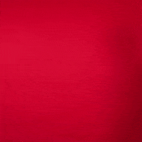 Texas Tech GIF by Texas Tech Baseball