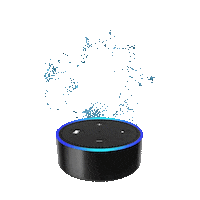 Echo Alexa Sticker by Select Radio