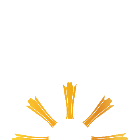 Countrymusic Sticker by Academy of Country Music Awards