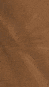 Unife GIF by Unifé TV Portugal