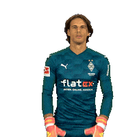 Borussia Moenchengladbach Thank You Sticker by Bundesliga