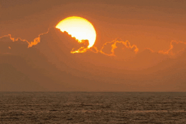 MarvErd giphygifmaker GIF
