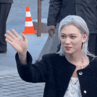 Stray Kids Skz GIF