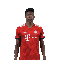 champions league love Sticker by FC Bayern Munich