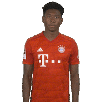 Champions League Football Sticker by FC Bayern Munich