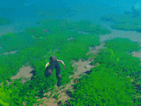Water Swimming GIF by Gameforge