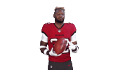 Bucs Sticker by Tampa Bay Buccaneers