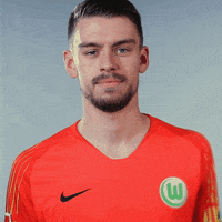 Football Soccer GIF by VfL Wolfsburg