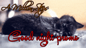 sleepy good night GIF