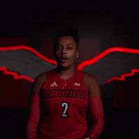 University Of Louisville Sport GIF by Louisville Cardinals