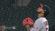 bless up minnesota twins GIF by MLB