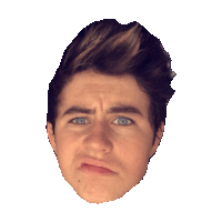 nash grier Sticker