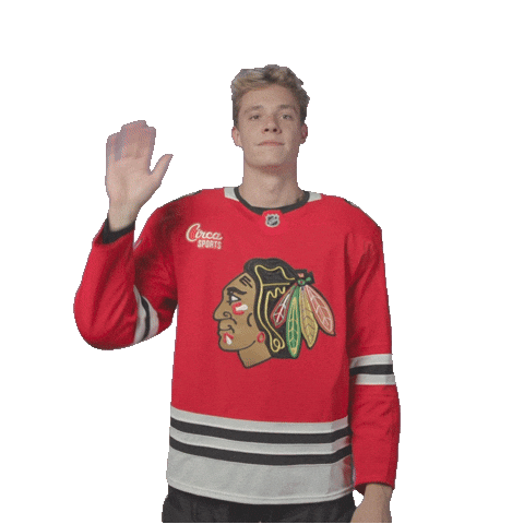 Alex Vlasic Sticker by NHLBlackhawks