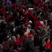 Basketball Standing GIF by Cincinnati Bearcats