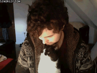 Cat Kiss GIF